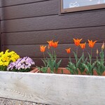 ベーカリーツキヨシ - 