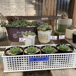 カフェ&ダイニング てんてん - 