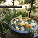 岩さき - 蹲踞に花