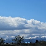 とらや菓子店 - 米山が一段と凛々しくみえる季節