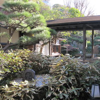 葉山 日影茶屋 - 中庭からの風景。