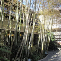葉山 日影茶屋 - 客席が空くのを待つ間、中庭の散策も楽しめます。