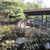 葉山 日影茶屋 - 外観写真:中庭からの風景。