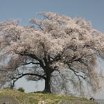 ヴィラ・アフガン - 