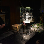 モトフサ アラキ - 