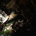 モトフサ アラキ - 