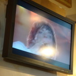 ハードロックカフェ - ミック・ジャガー（＠The Rolling Stones）