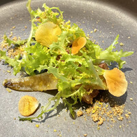 クイントカント - 