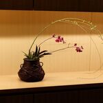 日本料理FUJI - オンシジューム。花言葉は可憐