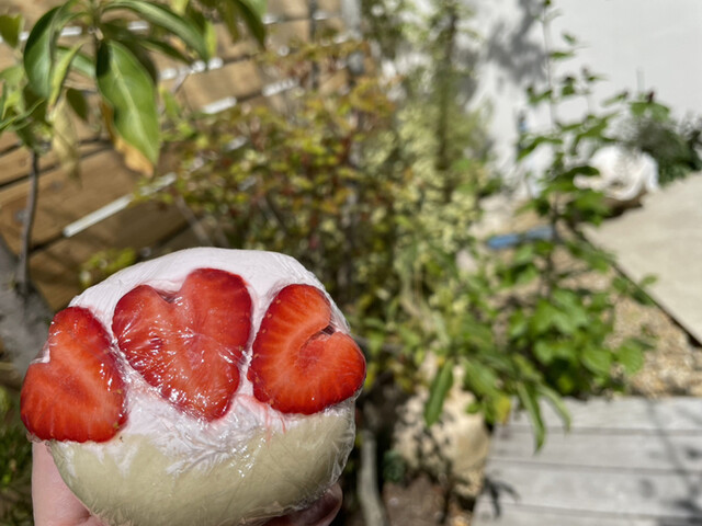 八百屋の嫁が作る モモべジ Momovege 堅下 カフェ 食べログ 八百屋の嫁が作る モモべジ Momovege 堅下 カフェ 食べログ