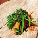 ル スプートニク - 