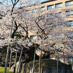 南部ビストロ うんめのす - 桜花賞　当日