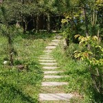 砂や安島季節料理 - 