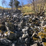 山の家 奥槍戸 - 自然って不思議です。