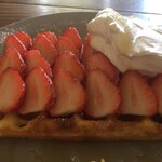 カフェ・サンクチュアリ - 