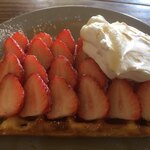 カフェ・サンクチュアリ - 