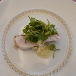 ペレグリーノ - 