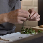 ペレグリーノ - 