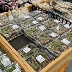 花木流通センター JA新鮮ぐんまみのり館 - 