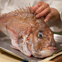 うを徳 - 2021.4 桜鯛（明石の鯛）