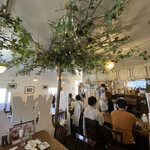 アルベロ - アルベロとは大樹の事。お店の中には成長前の「アルベロ」があります