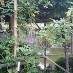 江戸懐石 若福 - 3年前の藤まつり
