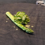 レヴォ - アスパラガスと7種の野草にポーチドバージンエッグ