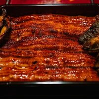 うなぎ割烹 大江戸 - うな重極上