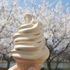 なっぱはうす - 料理写真: