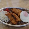 Kare Hausu Jan - チキンカレー