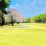 筑波カントリークラブ レストラン - ◎ゴルフコースの満開の桜。