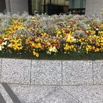 赤坂 菊乃井 - おまけ。大手町付近。