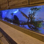 ディープ ブルー東京 - 店外側の水槽