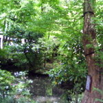 深大寺そば 青木屋 - 景色