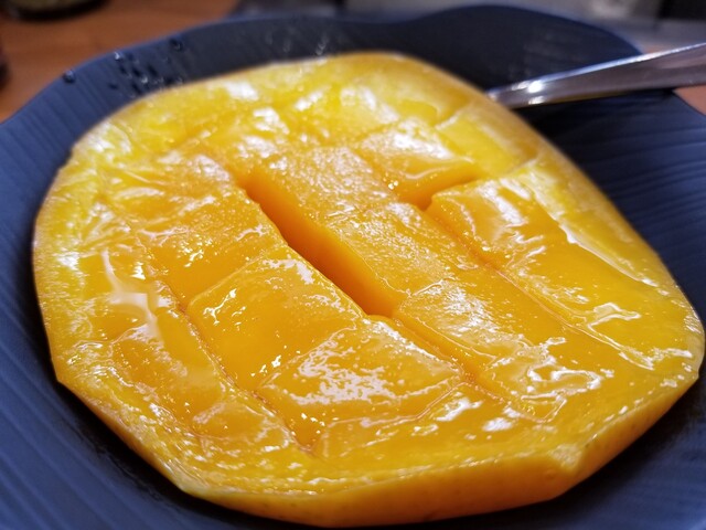 無添くら寿司 横浜新山下店 元町 中華街 回転寿司 食べログ