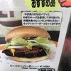 ヒルバレージュニア