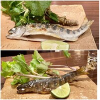 たでの葉 - 上は私の山女（転げちゃいました）
                    下は連れの山女
                    
                    サクラマスで海には行かずに、一生を川で過ごしたものが山女です。
                    炭火の遠赤外線線効果でしょうか、身がふっくらと焼き上がりとても味わいがあります。