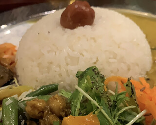 CURRY  NADO - 