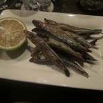 屋台バーえびちゃん - 九州だからきびなごですね