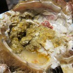 海光房 - カニみそ