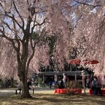 高見の郷 天空茶屋 - 茶屋外観