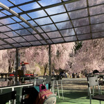 高見の郷 天空茶屋 - 茶屋店内