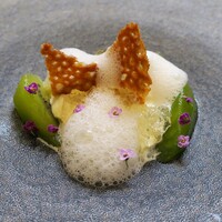 クイントカント - 