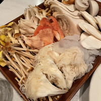 CINA New Modern Chinese - 