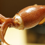 鮨 さいとう - 蛍烏賊