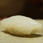 鮨 さいとう - あおり烏賊