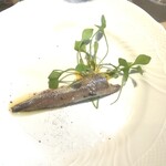 La Brianza - 小さなイワシさばくの手間隙かかると思います。贅沢な美味しさありがとうございます☆