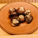 緒方 - ■赤貝（山口・光市産）。
      