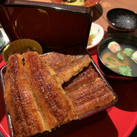 炭焼 うな富士 有楽町店 - 