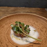 レヴォ - 黒エイ